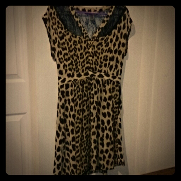 Leopard and lace knee length dress