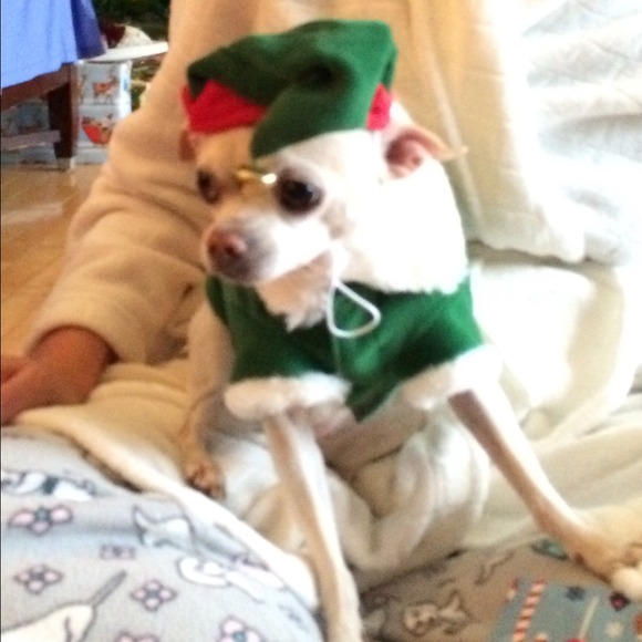 Meet your seller - Picture 3 of 3