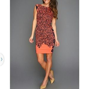 HP🎊🎊🎉🎊🎉🎊 French connection dress