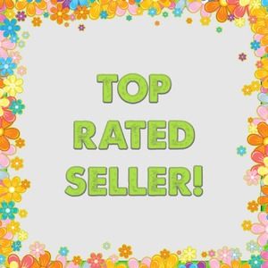 ⭐️TOP RATED SELLER⭐️