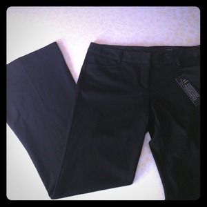 Express professional slacks