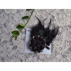 🎉HP🎉 Feather and Jewel Pin/Hair Clip