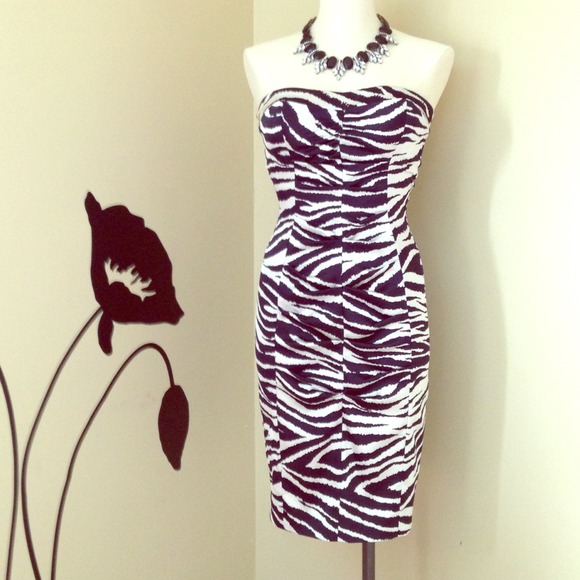 Cache Cocktail dress Zebra print