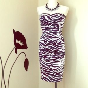 Cache Cocktail dress Zebra print