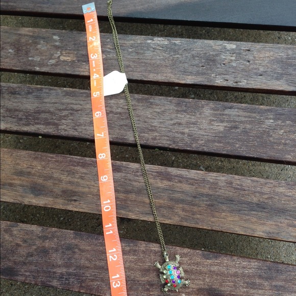 Turtle necklace❌SOLD❌ - Picture 2 of 4