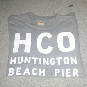 Hollister Tee Shirt (mens)