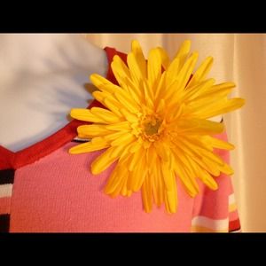 BUNDLED for @thred06