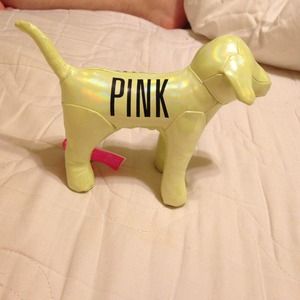 Victoria Secrets Dog!