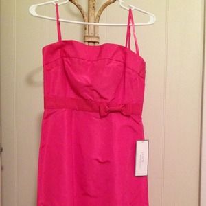 JCrew Pink silk cocktail dress