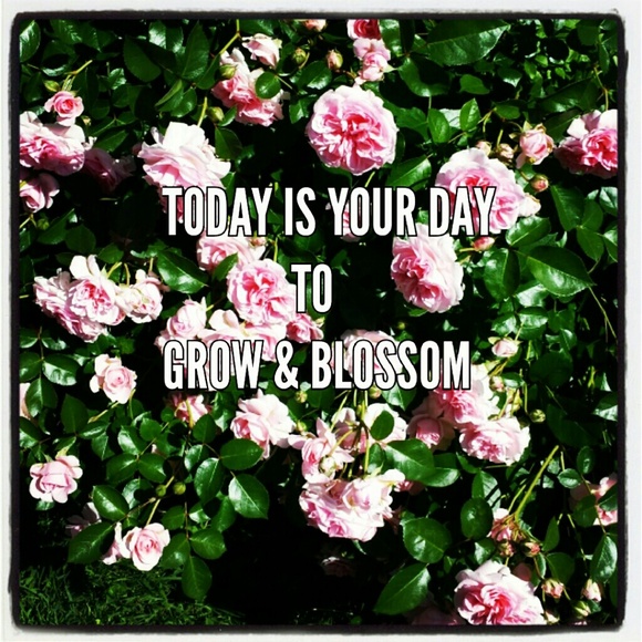 Meet your posher - Picture 2 of 4