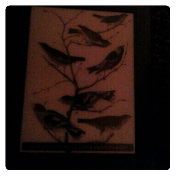 Amazon kindle tablet - Picture 1 of 1