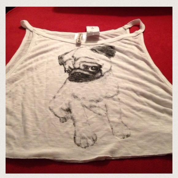 LF pug white crop - Picture 2 of 3