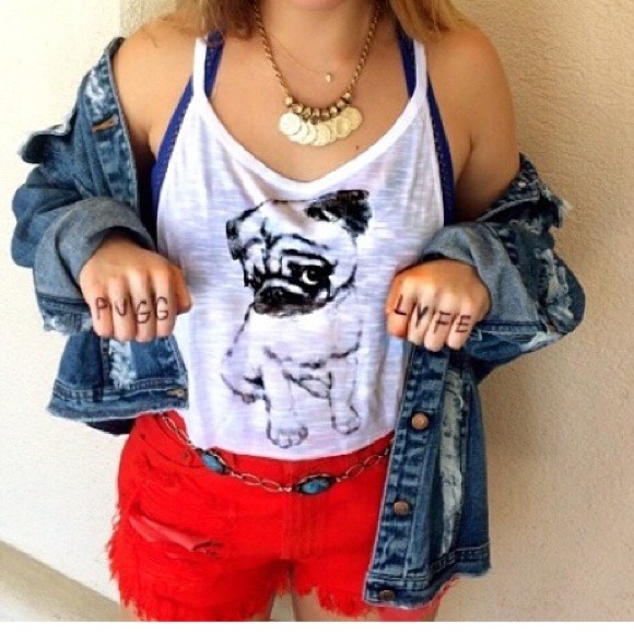 LF pug white crop - Picture 3 of 3