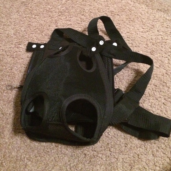 Black Dog Carrier