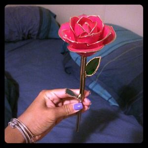 Pink 24k dipped in gold Rose