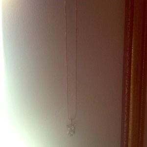 Cute owl necklace, only worn once! 🎀