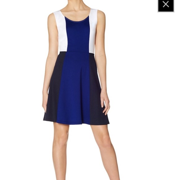 Colorblock Sleeveless Skater Dress