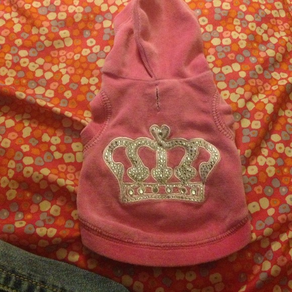 Dog cozy clothes