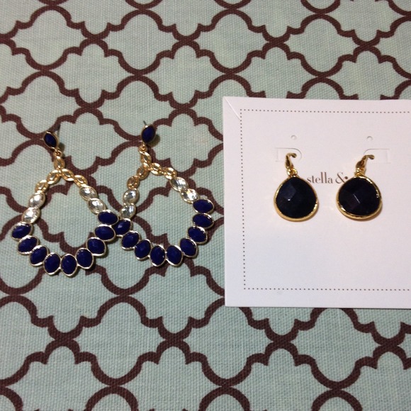 Serenity Stone Drop Earrings in Lapiz Bundle!
