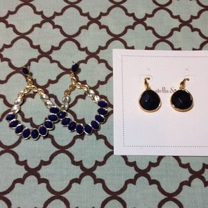 Serenity Stone Drop Earrings in Lapiz Bundle!