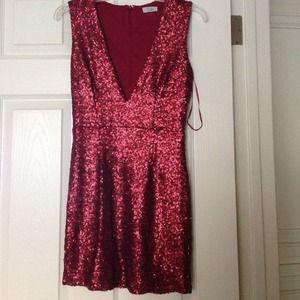 NWOT Sequined Party Dress