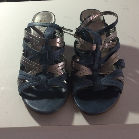 BLUE AND SILVER WEDGES
