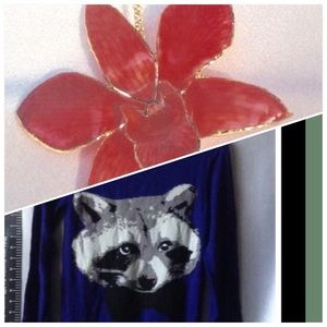 Bundle Blue Raccoon sweater  10-12 y