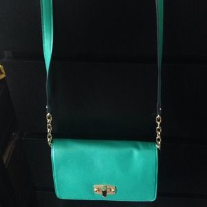Turquoise purse