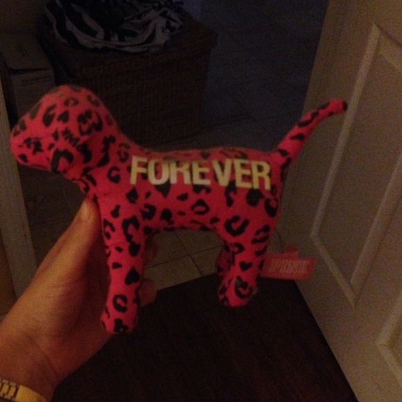 Victoria secret dog!