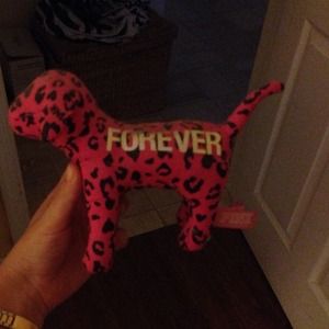 Victoria secret dog!