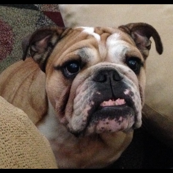 Another picture of Elvis!
