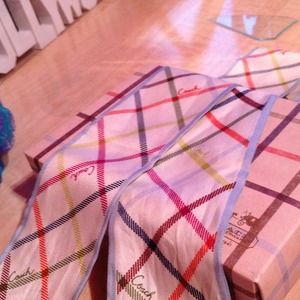 Coach scarf/ponytail