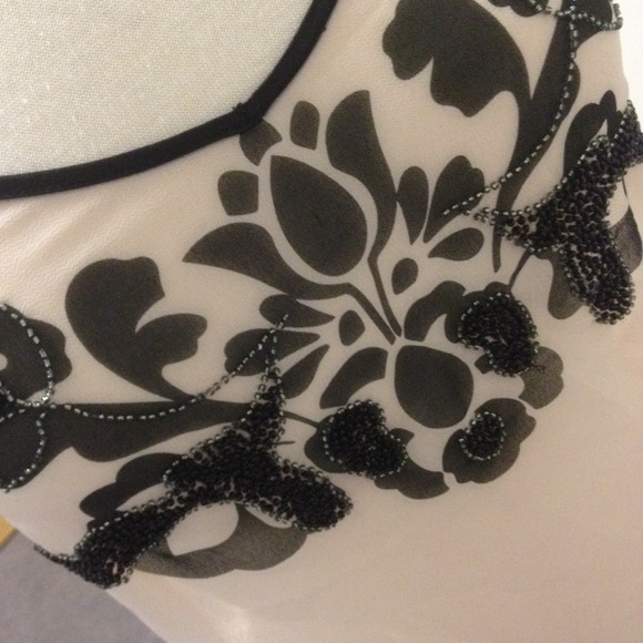 Express Top - Picture 2 of 4