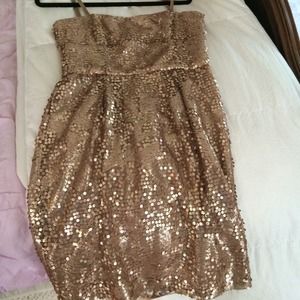 BCBG hold sparkle dress
