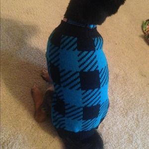 Dog sweater