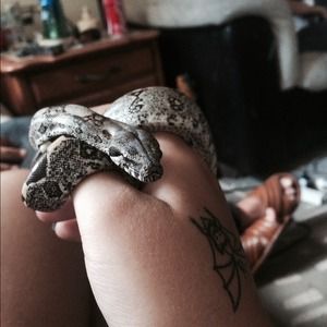 Meet my baby snake