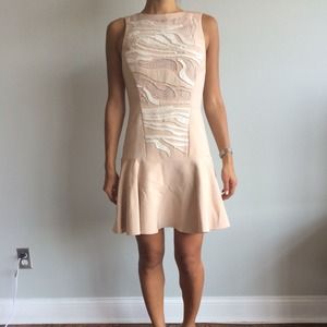 Embroidered blush Tibi Dress + leather skirt
