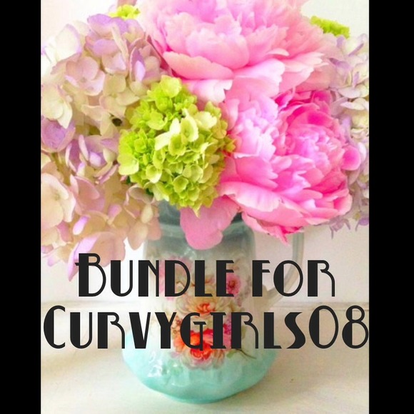 American Rag Dresses & Skirts - Bundle for Curvy Girls 0811 !