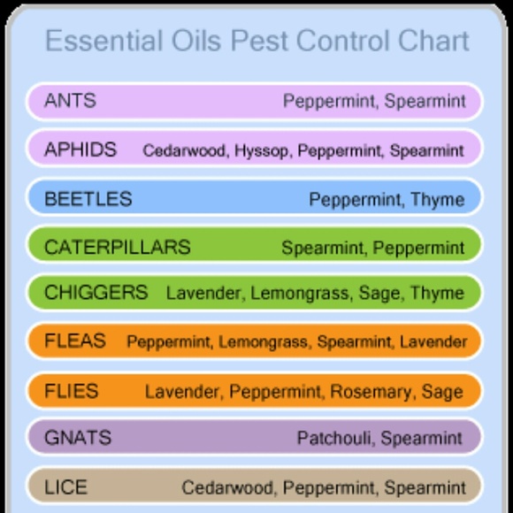 Doterra blends to get rid of pests