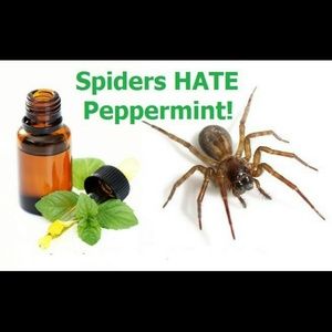 Doterra essential oils