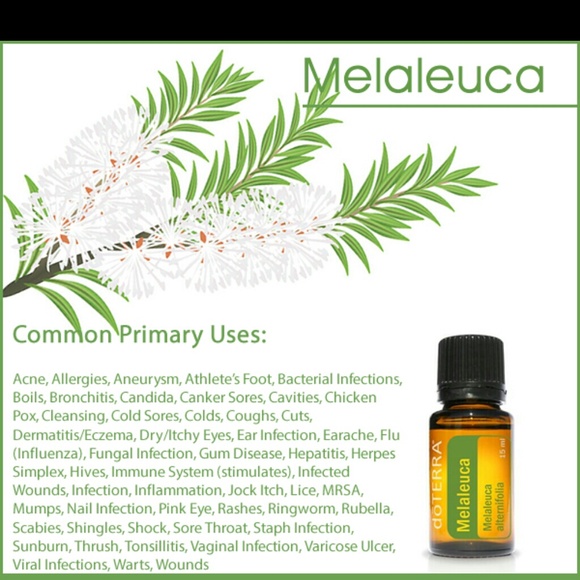 Doterra essential oils