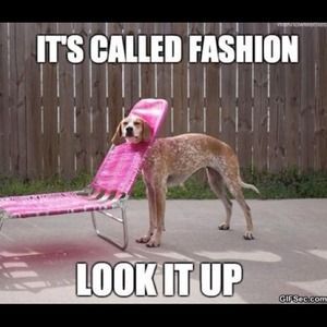 BOGO buy one item get one 50% off