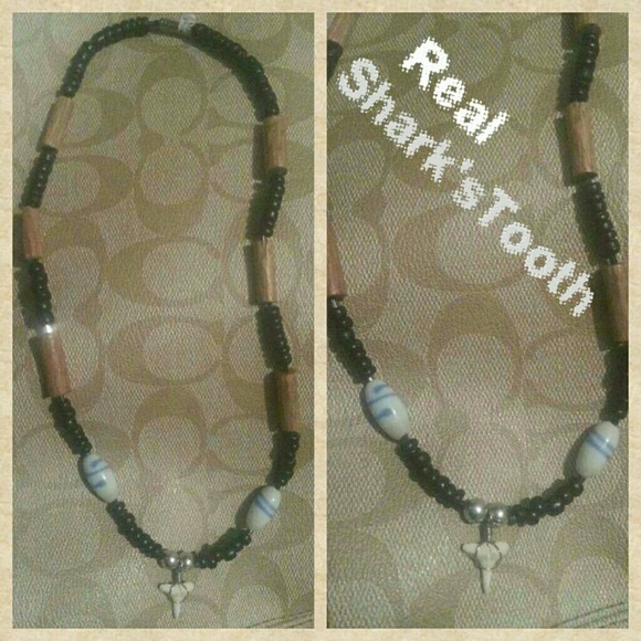 NEW Real Shark's Tooth Necklace - Picture 1 of 2