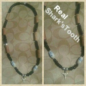 NEW Real Shark's Tooth Necklace