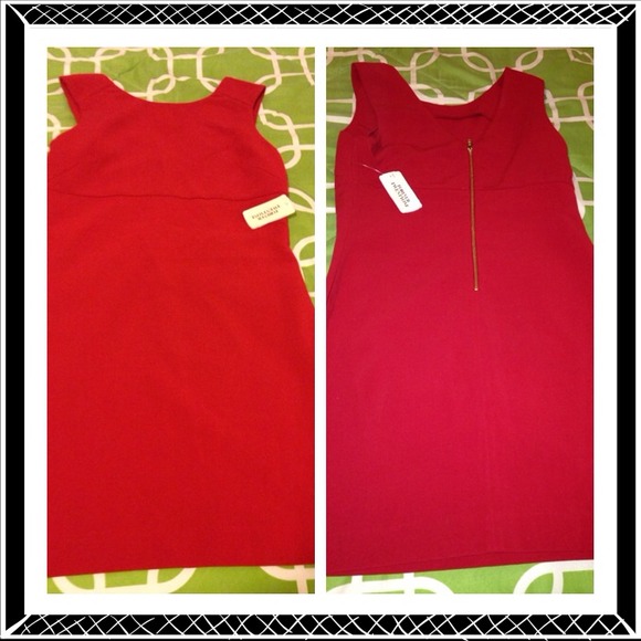 Little Red Dress