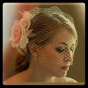 Birdcage Fascinator Veil