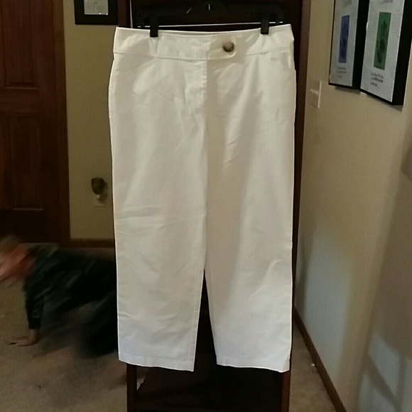EUC Ann Taylor size 8 Capri - Picture 1 of 4