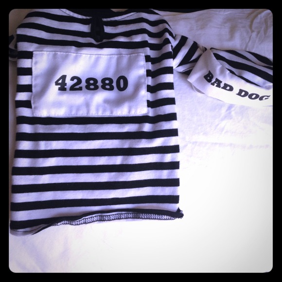 Sold💜Dog prisoner Halloween costume🎃