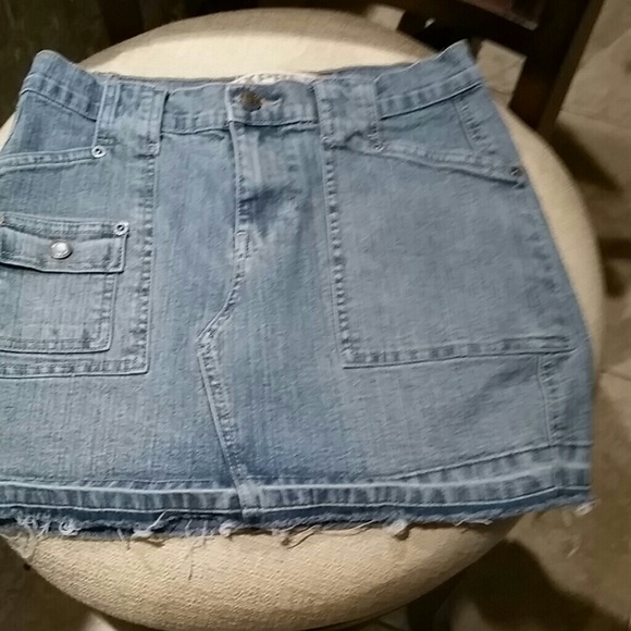 Express skirt