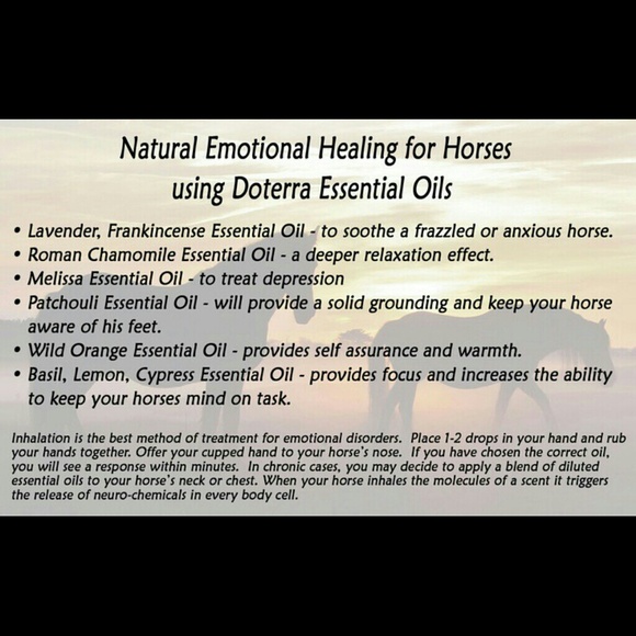 Doterra for horses